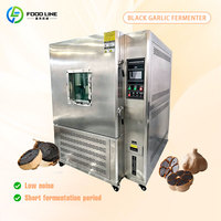 Machine à faire fermenter l'ail noir entièrement automatique, température et humidité constantes