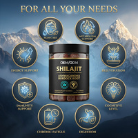 Gummies Shilajit 4-en-1 OEM ODM avec Ashwagandha, Mousse de Mer et Crinière de Lion pour la Vitalité Quotidienne, l'Endurance et le Soutien Immunitaire – Complexe Bien-être