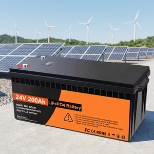 แบตเตอรี่ลิเธียมไอออน 24V 200AH ชุดแบตเตอรี่พลังงาน 100AH สำหรับระบบพลังงานแสงอาทิตย์ พร้อมตัวเลือก 12V 25.6V 36V 48V 300AH - Product Image 1
