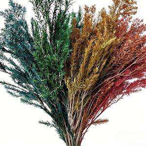 Bouquet de fleurs séchées dorées Immortelle <span class=keywords><strong>Lasagna</strong></span> de l'usine Yongsheng du Yunnan, feuilles séchées écologiques, longue durée, Noël, mariage - Product Image 1
