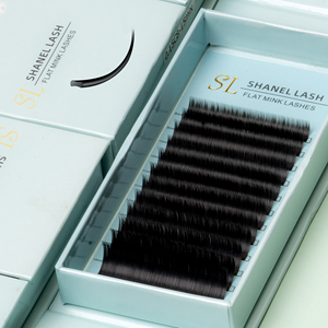 Shanel venta al por mayor 0,15 0,20 0,25mm negro profundo elipse plano pestañas postizas extensión de pestañas personalizado 12 16 líneas bandeja de pestañas - Product Image 2