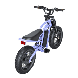 Powerful 36V 350W <strong>Kids</strong> <strong>Electric</strong> Dirt <strong>Bike</strong> with Dual Suspension 16 Inch Fat Tires Hydraulic Disc Brakes for Teens Adventure - Product Image 5