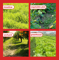 Mini-motoculteur désherbeur motorisé en Chine, machine à rouler pour l'élimination des mauvaises herbes agricoles