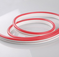 Tira de Neón Flexible de Alta Calidad, DC12V 9W, IP65 Impermeable, PVC, 5M, 110 LED, Color Único 6000K, Luz Diurna, para Estadios Deportivos