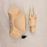 Modelo de Demostración de Parto Difícil, Simulador Médico de Parto, Maniquí de Entrenamiento, Simulador de Parto Infantil