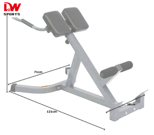 DW SPORTS nouveau style Ab Banc <span class=keywords><strong>Chaise</strong></span> <span class=keywords><strong>Romaine</strong></span> 45 Degrés Hyperextension Banc Abdominal Gym Exercice - Product Image 6