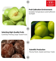 Prix direct usine, saveur douce fraîche et saine, 100% naturel, 320g, écorce de mandarine séchée individuellement emballée, prune