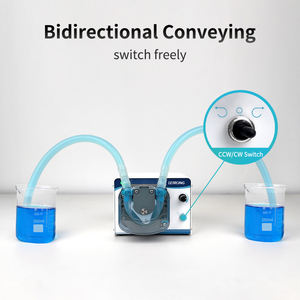 مختبر الجرعات الصغيرة القابلة للتعديل 24 فولت من LEIRONG zp2000 مل/دقيقة بدقة حمض توزيع 24 فولت - Product Image 2