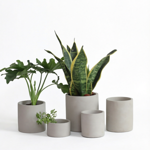 Pot rond en ciment pour plantes succulentes avec trou de drainage, gris clair, pour la maison, le jardin, l'hôtel - Product Image 1