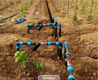 Machine d'irrigation pour le sous-surface de l'agriculture, ruban d'irrigation goutte à goutte, conception de système d'irrigation d'un carat