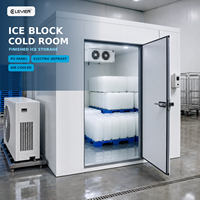 Petite chambre froide pour le stockage de blocs de glace avec unité de condensation refroidie par air et dégivrage électrique par réfrigération