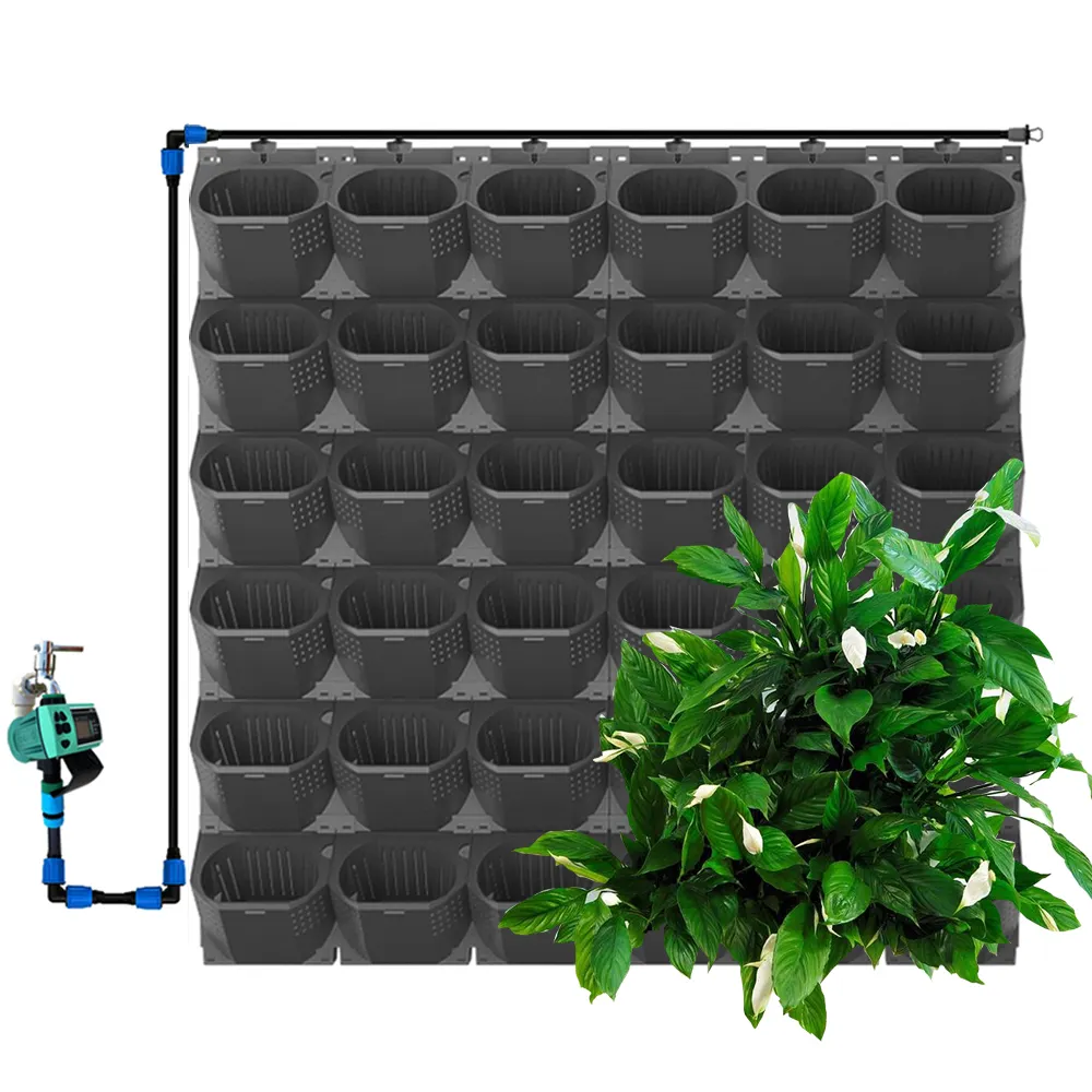수직 정원 벽 자체 급수 수경법 성장 시스템 꽃 현대 식물 플라스틱 화분