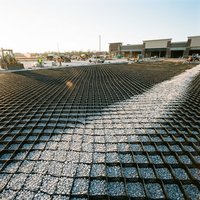Matériaux de construction, tapis de gravier, stabilisateur, géocellule, grille de sol, HDPE, léger, certifié CE, garantie de 2 ans, conception de modèle 3D pour routes