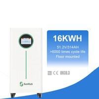 Batterie LiFePO4 16 kWh 51,2 V 314 Ah avec BMS intelligent, compatible parallèle, pour stockage d'énergie, compatible avec les onduleurs Deye et Growatt