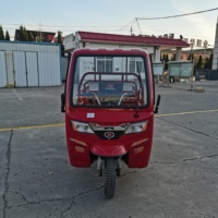Крупные прямые продажи легких газовых трициклов с гибким навесом, просты в использовании и быстро работают
