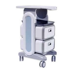 Chariot multifonctionnel professionnel, équipement de salon de beauté médicale, chariot à roulettes avec deux tiroirs - Product Image 1