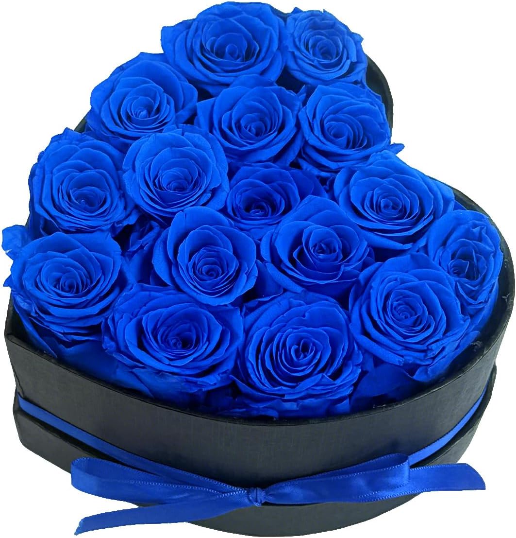 16 rose blu