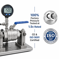 Válvula de Compuerta de 1 Pulgada CF8 SS304 200 WOG con Rosca NPT, Válvula de Compuerta de Acero Inoxidable con Volante Azul para Agua, Aceite y Gas