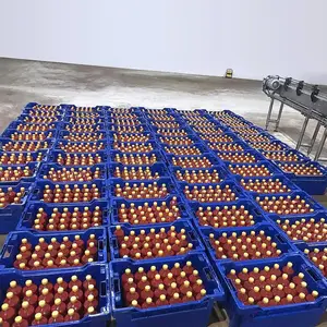 Tomato Juice Processing Plant Small Tomato Ketchup Process Line Tomato Production Unit