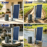 Pompe à eau submersible solaire DC de 4 pouces, 1100W, 110V, en acier inoxydable, pour l'irrigation agricole, l'alimentation en eau domestique, les puits profonds