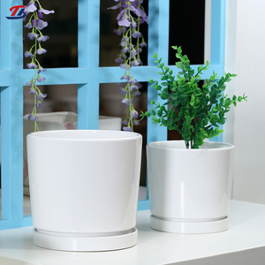 Macetas de Cerámica Blancas con Plato, Venta Directa de Fábrica, para Interiores/Exteriores, con Orificio de Drenaje, Ecológicas - Product Image 2