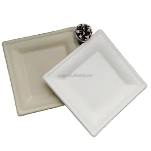 Bagasse Plate Disposable Sugarcane Tableware 10 Inch Bagasse Disposable Square Trays