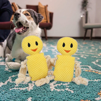 Nouveauté 2026 : Jouets interactifs pour animaux de compagnie en peluche avec corde, modèles lapin, chat, canard, rat, résistants aux morsures, jouets couineurs pour chiens – Vente en gros