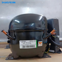 Compresseurs Embraco Aspera pour machine à glaçons/congélateur NEK6213GK NEK6217GK NEU6212GK NEU6215GK R404