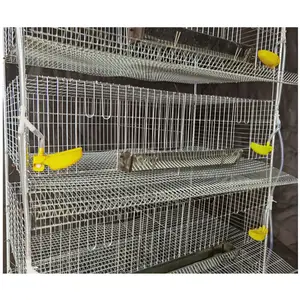 Great Farm Cages à cailles de type H de haute qualité Cages à cailles pondeuses à vendre pour l'Inde