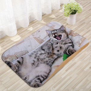 Tapis de sol rectangulaire imprimé chat, antidérapant, absorbant, pour chambre à coucher, salle de bain, décoration de la maison - Product Image 1