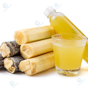 Machine à jus de canne à sucre électrique pour la vente ambulante - Product Image 5