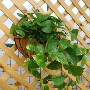 Panier suspendu en métal pour plantes avec doublure en fibre <span class=keywords><strong>de</strong></span> coco, porte-plantes mural demi-rond en fil <span class=keywords><strong>de</strong></span> fer, porte-pots <span class=keywords><strong>de</strong></span> fleurs - Product Image 4