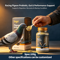 Poudre de supplément nutritionnel pour pigeon de course, soutien à l'endurance et aux performances, oméga 3, graines de chia, extrait d'ycéra, saison de course, 50g