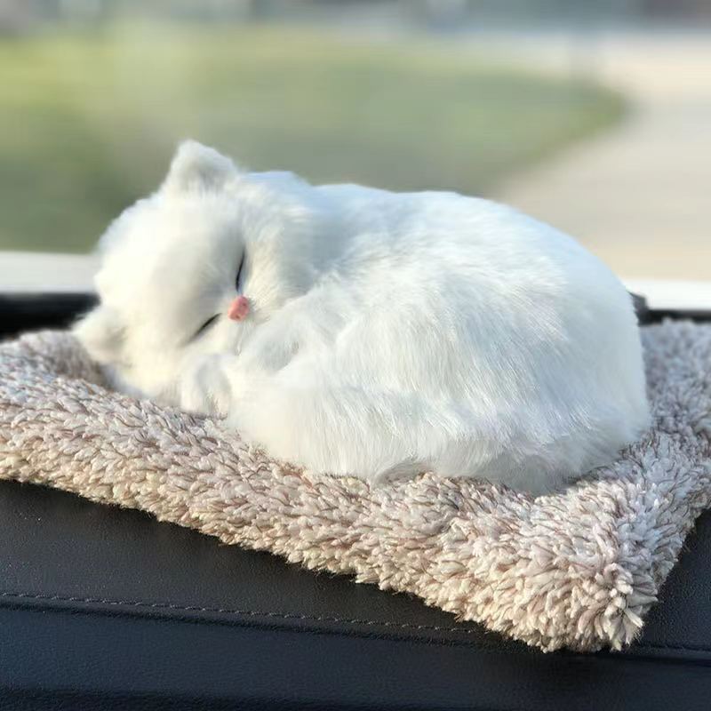 Grand chat blanc