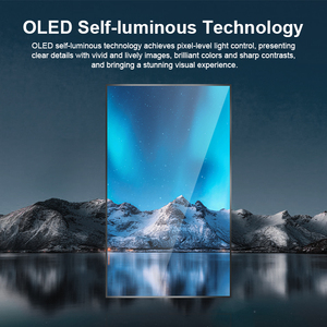 55 inch đôi bên màn hình LCD trong suốt hiển thị tầng đứng 150-400cd/m2 (tự động điều chỉnh) với kính OLED Máy quảng cáo - Product Image 3