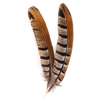 Plumes de queue de faisan Reeves naturelles en gros, 15-20 cm, motif de coiffe indienne, fournisseur brut, marque Xinyuling, Chine, 100