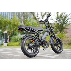 Zerogo Fatbike Bike Mountain Eu Fatbike V20 Pro E-bike Netherlands Adultos Factory Price V20pro Fahrrad Occupation Costs Bisicle - Product Image 1
