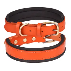 Kunden spezifische Produkte Klassisches Halsband Echtes Hunde halsband aus echtem Leder Weich gepolsterte Hunde Verstellbares Hunde halsband