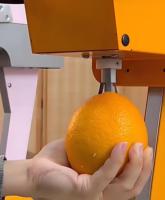 Verse Fruitsapmachine/Sinaasappelsapmachine Populair In Korea En Amerika