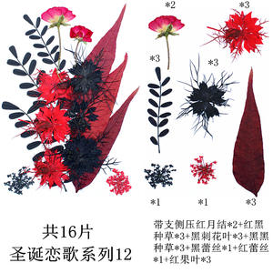 Heiß begehrtes Harzschmuck-Set mit Trockenblumen und Formen - Product Image 2