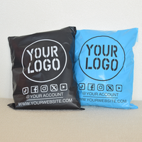 Sacs d'emballage pour vêtements écologiques givrés, sacs de transport avec impression de logo personnalisé, sacs de courrier pour colis