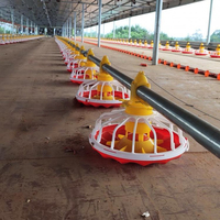 Línea de Agua Automática para Cría de Aves de Corral de Alta Calidad, Nueva, de Plástico y Acero Inoxidable, Marca NORTH&HUSBANDRY, Modelo 1 de 50 Pulgadas