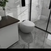 Toilette intelligente avec bidet intégré, ouverture automatique, fonction vocale et chasse d'eau automatique