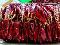 Nouvel arrivage de piments guajillo séchés purs 2500-5000 SHU Paprika Aji Chili Piment rouge américain Guajillo Chili pour la cuisine mexicaine