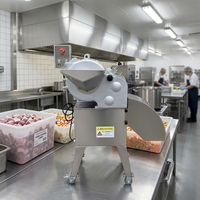 Elektrischer Gemüseschneider aus Edelstahl mit 1500W Motor, 4mm Zuckerfrucht-Würfelmaschine, Getrocknete Feigen Würfelschneidemaschine, Marke NP