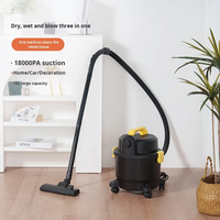 Aspirateur électrique Cyclone haute puissance pour voiture maison silencieux humide sec grand seau d'aspiration industriel sans sac