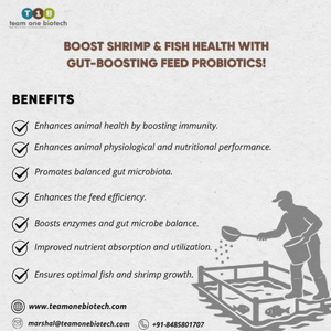 Apoya la Salud de los Peces con Aditivos Probióticos para Alimentos - Product Image 1