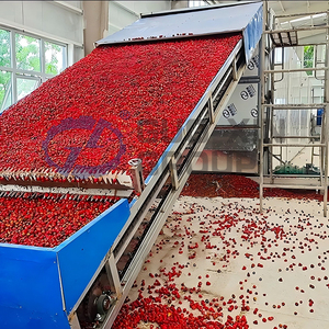 Source factory machinery mesh belt <b>drying</b> <b>equipment</b> jujube processing continuous jujube dryer - Product Image 3