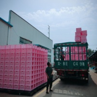 Cage de transport pour œufs de poulet, trous en plastique, caisses de transport pour œufs de poulet avec plateau à œufs, légères et durables