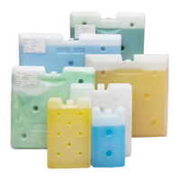 Brique de refroidissement avancée en matériau à changement de phase (PCM) HDPE, réutilisable, de qualité alimentaire, plaque eutectique, écologique, recyclable, résistante à l'eau